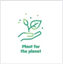 najran-green